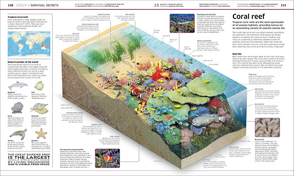 Knowledge Encyclopedia: The World as You've Never Seen it Before Hardcover – October 10, 2023