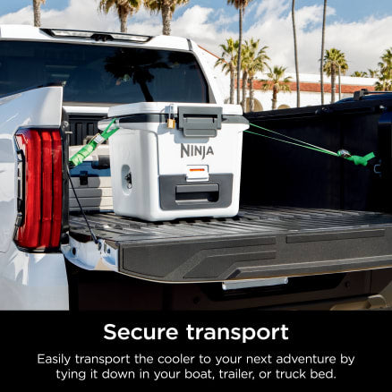 Ninja FrostVault™ Hard Cooler with Dry Zone | FB131WH