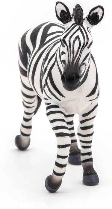 Male Zebra -50249 -Collectible - for Children - Suitable for Boys and Girls- from 3 Years Old
