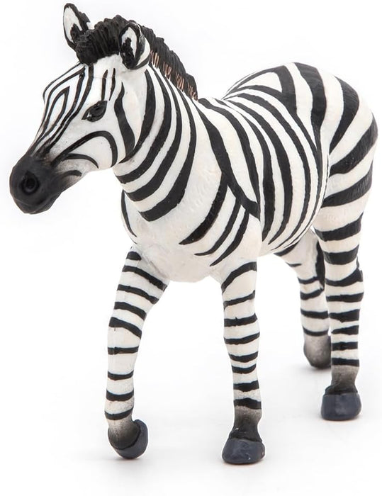 Male Zebra -50249 -Collectible - for Children - Suitable for Boys and Girls- from 3 Years Old