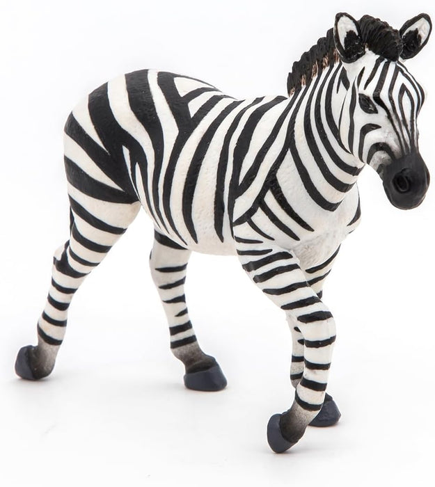 Male Zebra -50249 -Collectible - for Children - Suitable for Boys and Girls- from 3 Years Old