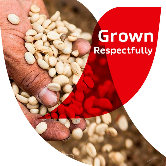 NESCAFÉ CLÁSICO Colombia|Medium Roast Instant Coffee