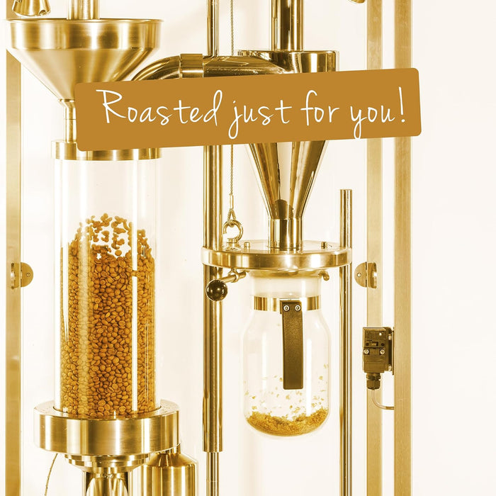 Rwandan Coffee, Whole Bean Coffee, Premium Rwanda Kopakaki Single Origin Fresh Roasted Coffee Beans | Cubico Coffee | 12 Ounce Bag