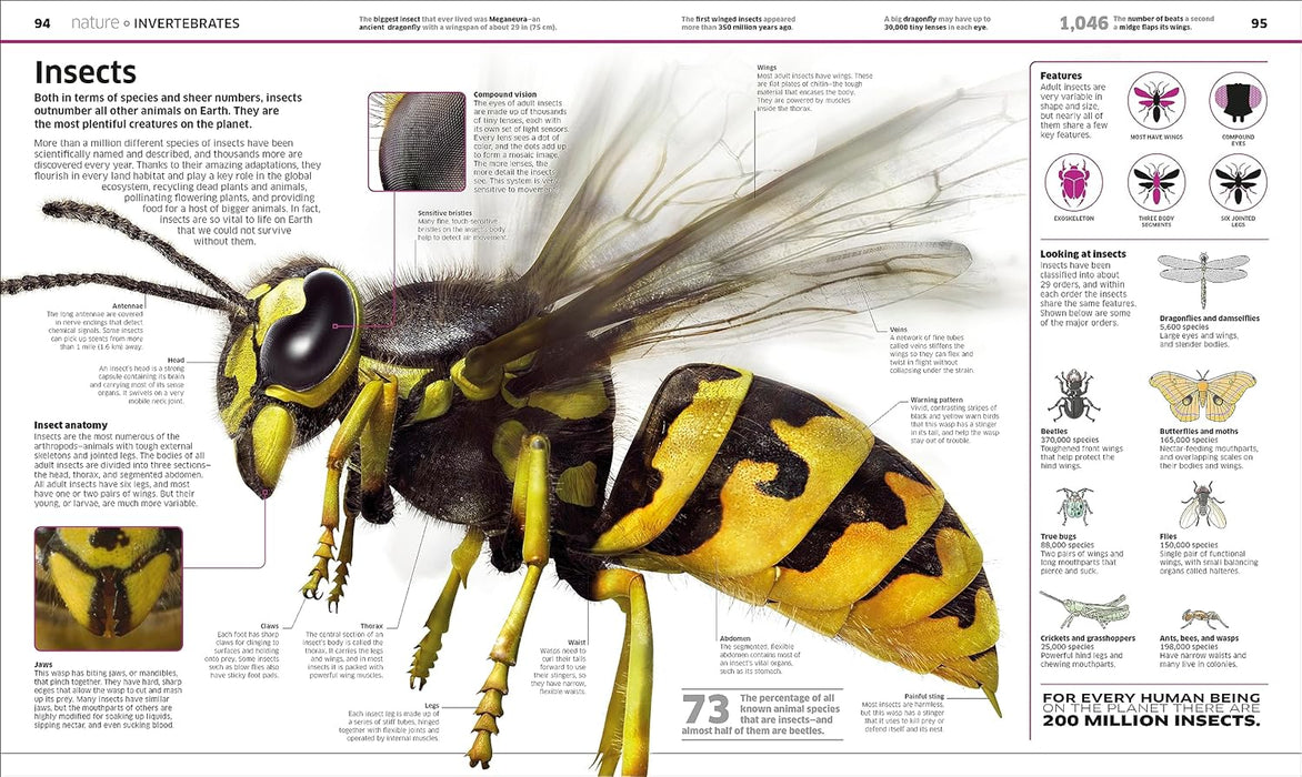 Knowledge Encyclopedia: The World as You've Never Seen it Before Hardcover – October 10, 2023