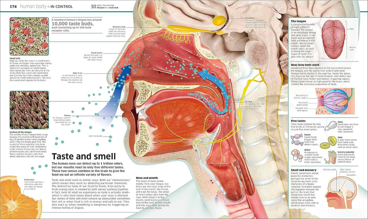 Knowledge Encyclopedia: The World as You've Never Seen it Before Hardcover – October 10, 2023