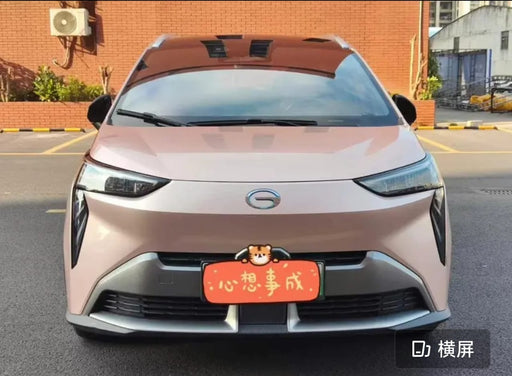 Front view of a pink electric vehicle with a decorative license plate on a road.