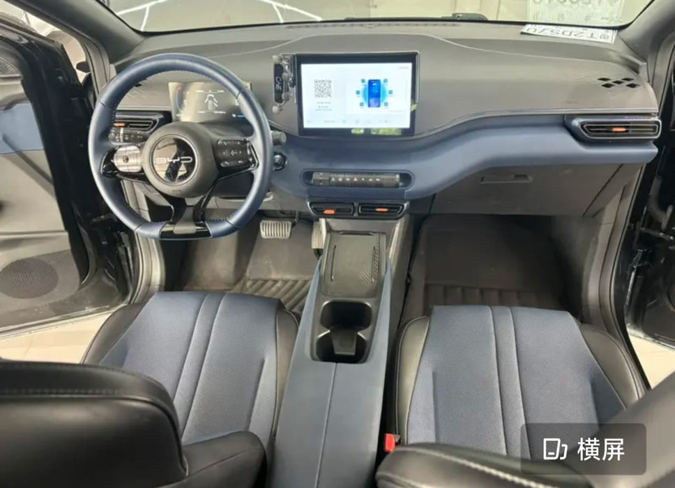 Black electrical car